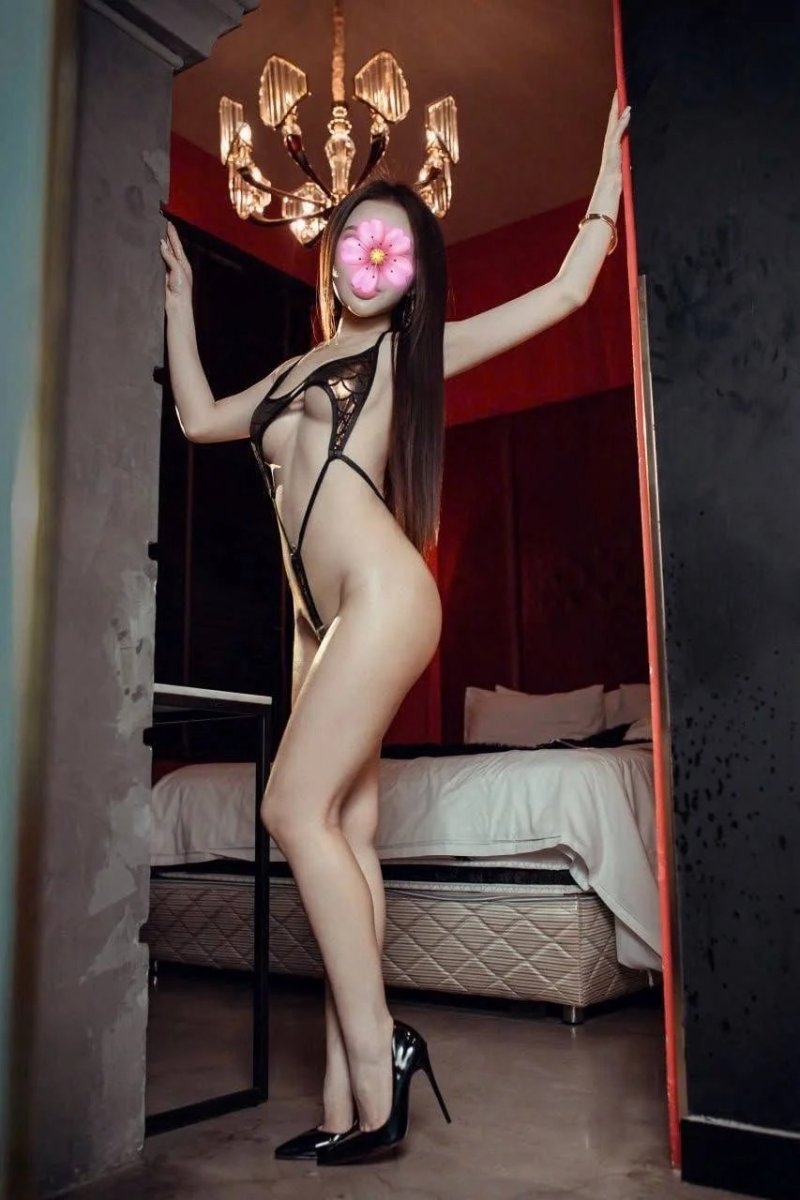 6a7ec02d8ee1c_1786691629.jpeg