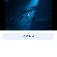 Chim Di Cư